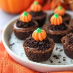 Pumpkin Patch Brownie Bites 33
