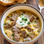 Beef-Stroganoff-Soup-Recipe