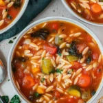 Vegetable-Orzo-Soup-Recipe