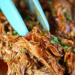 Ninja-Foodi-Pulled-Pork-Recipe