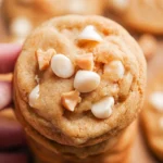 Macadamia-Nut-White-Chocolate-Cookies-Recipe